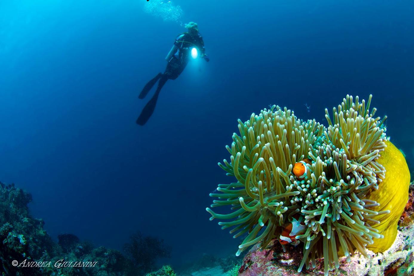 Sunset Cove Beach & Dive Resort Romblon Luaran gambar